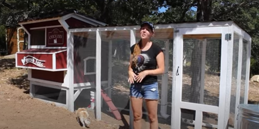Wilkerson build a beautiful chicken coop and run by herself with wood and hardware cloth.